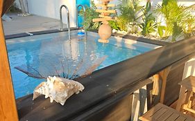 Ti Oasis Colibri, 1 Chambre, Piscine, A 150M De La Plage
