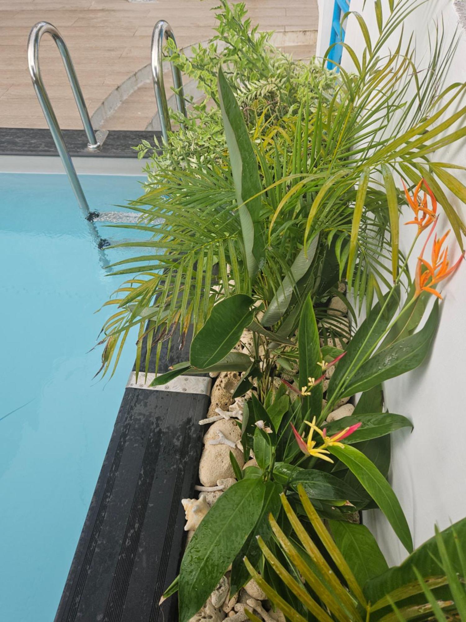 Ti Oasis Colibri, 1 Chambre, Piscine, A 150M De La Plage Sainte-Luce Extérieur photo